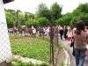 Boží Tělo 10. 6. 2012